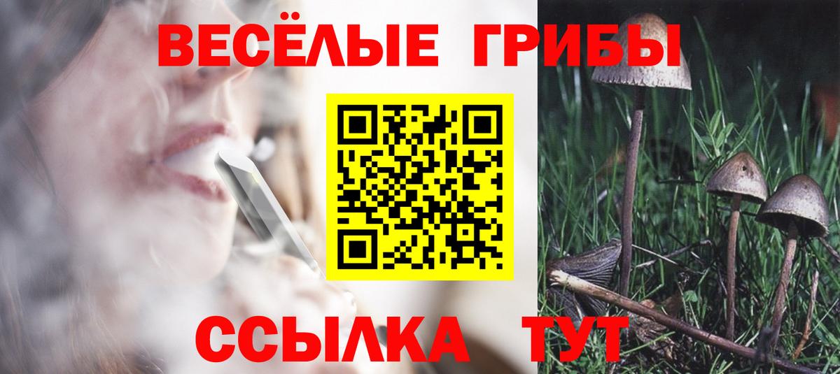Муром  Галлюциногенные грибы прущие грибы  Псилоцибиновые грибы мицелий  Вход с VPN 